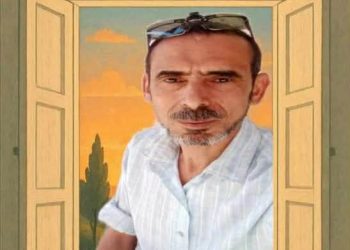 سنبلة القلب