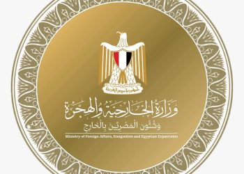 عام استثنائي من النجاحات الانتخابية الدولية للدبلوماسية المصرية