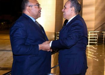 وزير الخارجية يلتقي نظيره التنزاني