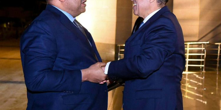 وزير الخارجية يلتقي نظيره التنزاني