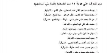 14 ضحية من المصريين بحادث غرق مركب باليونان