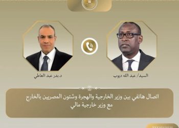 اتصال هاتفي بين وزير الخارجية ونظيره المالي
