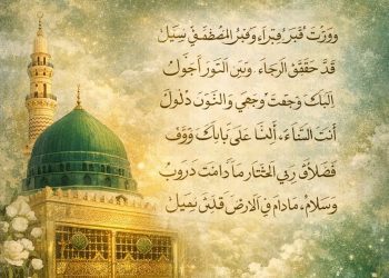 زيارةُ قبرِ الرّسول ﷺ