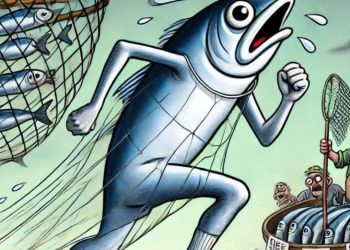 ” السردينة” 