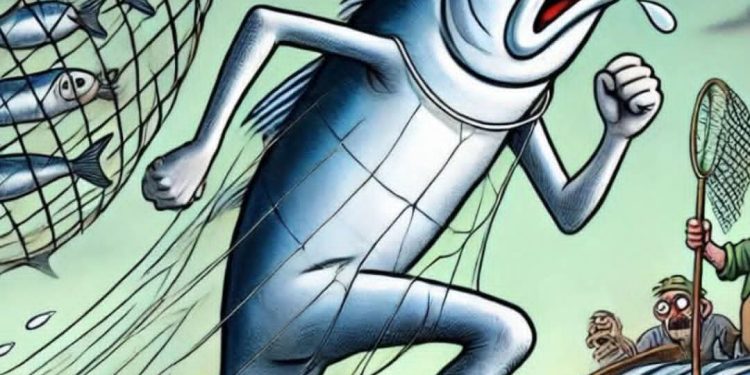 ” السردينة” 