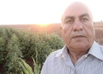 نزيف الحبِّ