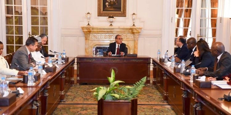 وزير الخارجية يلتقي بممثلي منظمات ومكاتب الاتحاد الأفريقي في مصر