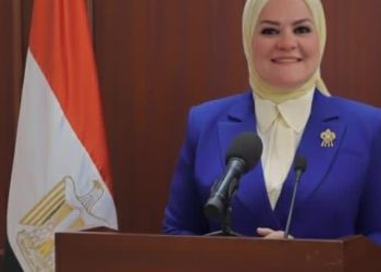  المرأة المصرية في 2025 استحقاقات ودعم سياسي شامل