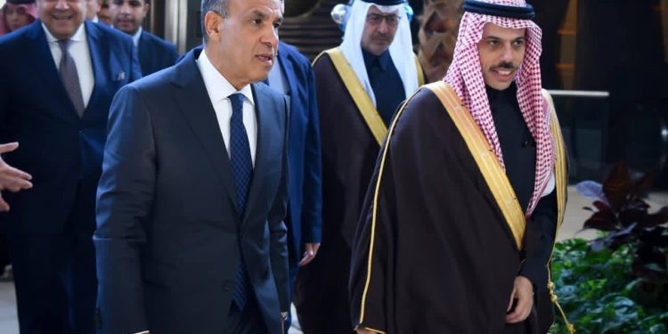 وزير الخارجية يعقد مباحثات ثنائية مع نظيره السعودي