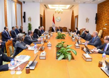 د. بدر عبد العاطي يؤكد أولوية الدائرة الإفريقية في السياسة الخارجية المصرية