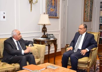 وزير الخارجية يستقبل مسئولي غرفة التجارة الأمريكية في القاهرة