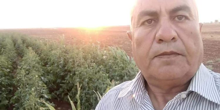  نزيف الحبِّ