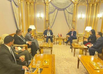 وزير العمل يبحث مع نظيره الأرميني تعزيز التعاون وتوفير العمالة المصرية