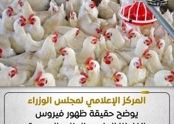 المركز الإعلامي لمجلس الوزراء يوضح حقيقة ظهور فيروس إنفلونزا الطيور بالمزارع المصرية
