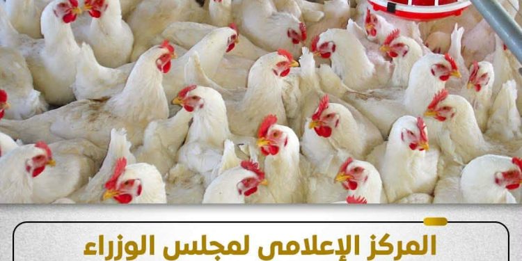 المركز الإعلامي لمجلس الوزراء يوضح حقيقة ظهور فيروس إنفلونزا الطيور بالمزارع المصرية
