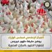 المركز الإعلامي لمجلس الوزراء يوضح حقيقة ظهور فيروس إنفلونزا الطيور بالمزارع المصرية