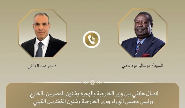 اتصال هاتفي بين وزير الخارجية ونظيره الكيني