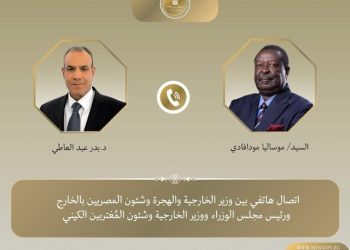 اتصال هاتفي بين وزير الخارجية ونظيره الكيني