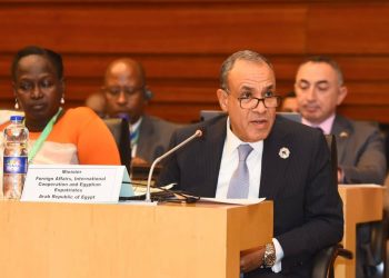 وزير الخارجية يجدد التزام مصر بدعم استرداد التراث الإفريقي