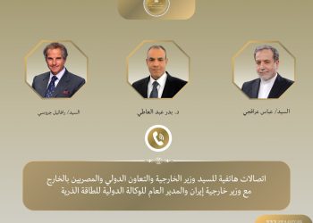 وزير الخارجية يتابع مع عراقجي ومدير الطاقة الذرية تطورات مفاوضات جنيف