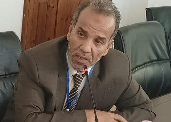 « الصحافة الرقمية الإثنوغرافية » من الحارس البشري إلى الوكيل الذكي …