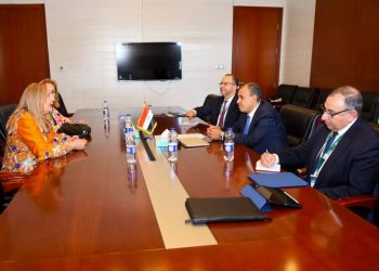 وزير الخارجية يؤكد أهمية القطاع الخاص في تحقيق التنمية المستدامة في أفريقيا