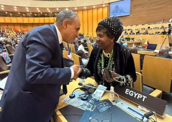 وزير الخارجية يلتقي بالمفوضة باللجنة الإفريقية لحقوق الإنسان