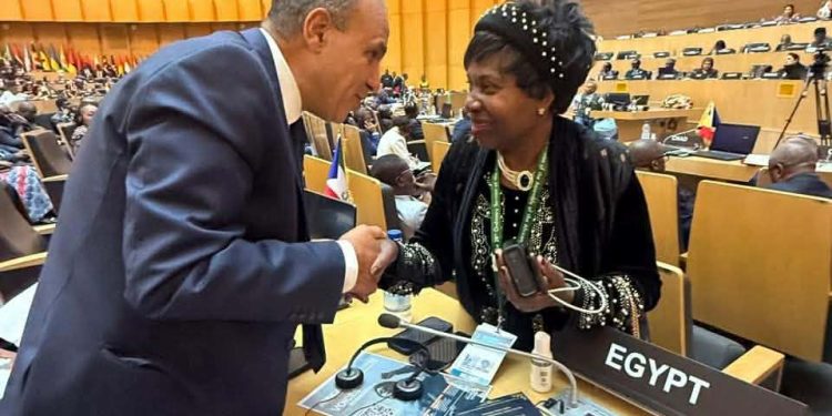 وزير الخارجية يلتقي بالمفوضة باللجنة الإفريقية لحقوق الإنسان