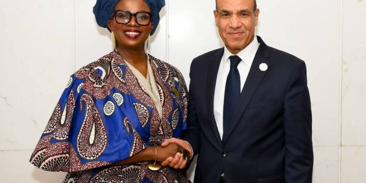 وزير الخارجية يلتقي مفوضة الطاقة والبنية التحتية بالاتحاد الأفريقي