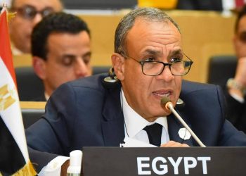 وزير الخارجية يلقي كلمة أمام الاتحاد الأفريقي حول عضوية الاتحاد في مجموعة العشرين