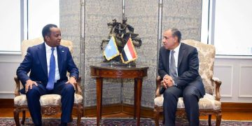 مشاورات مصرية صومالية لدعم الشراكة الاستراتجية بين البلدين