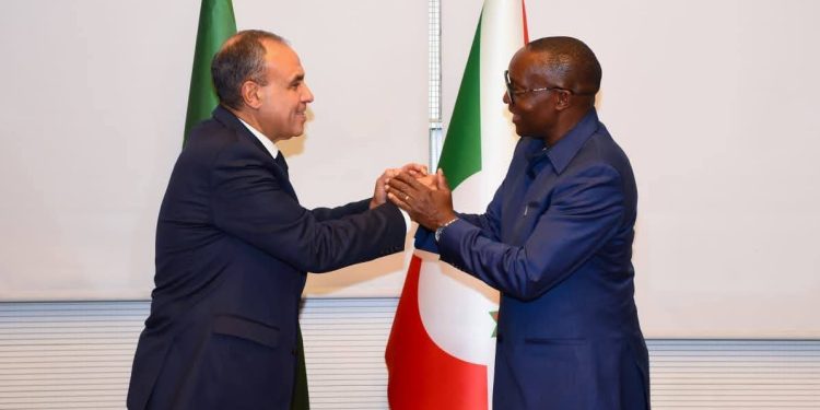 وزير الخارجية يلتقي نظيره البوروندي لبحث سبل تعزيز العلاقات الثنائية
