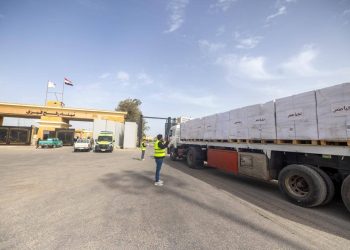 صندوق تحيا مصر وبيت الزكاة والصدقات يعلنان دخول 780 طن من المواد الغذائية لقطاع غزة