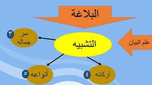 اللغة بين البيان والكشف
