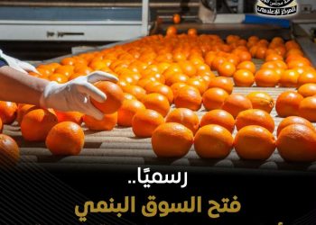 فتح السوق البنمي لأربعة منتجات مصرية