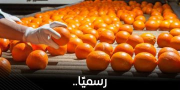 فتح السوق البنمي لأربعة منتجات مصرية