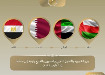 وزير الخارجية يتوجه إلى مسقط في المحطة الثالثة من جولته العربية لتأكيد التضامن مع عُمان