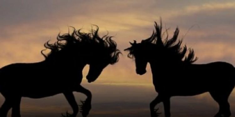 الحرية تحت إطار الانحلال