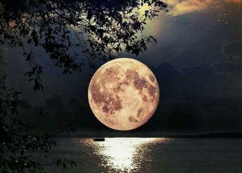 في اللَّيلِ يَرى