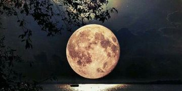 في اللَّيلِ يَرى