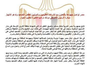 مصر تواصل جهودها بالتعاون مع الشركاء الإقليميين والدوليين لخفض التصعيد 