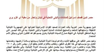 مصر تدين قصف إسرائيل للمنشآت والبنيه التحتية في لبنان وتحذر من مغبة أي غزو بري