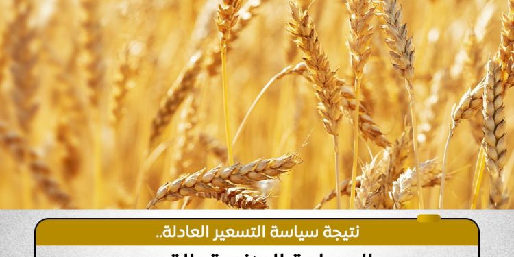 سياسة تسعير محصول القمح تحفز المزارعين