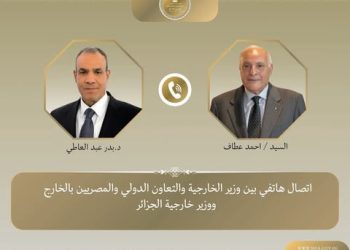 وزير الخارجية يبحث مع نظيره الجزائري جهود خفض التصعيد فى المنطقة