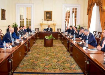 وزير الخارجية يستقبل وفدا من غرفة التجارة الأمريكية بالقاهرة