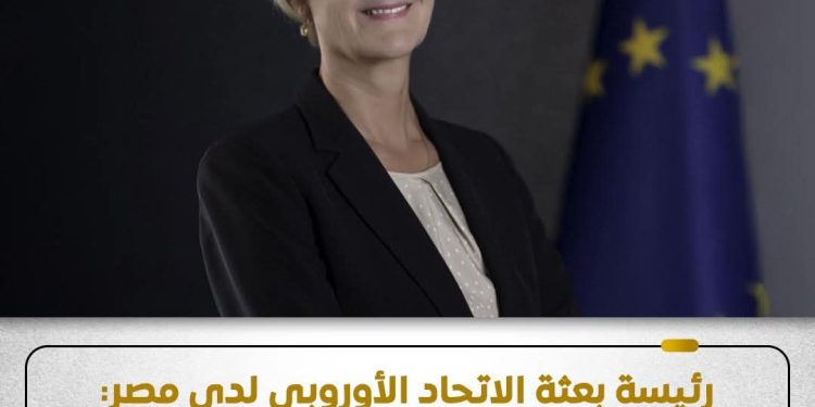 رئيس بعثة الاتحاد الأوربي تشيد بدور مصر في حل الأزمات الإقليمية